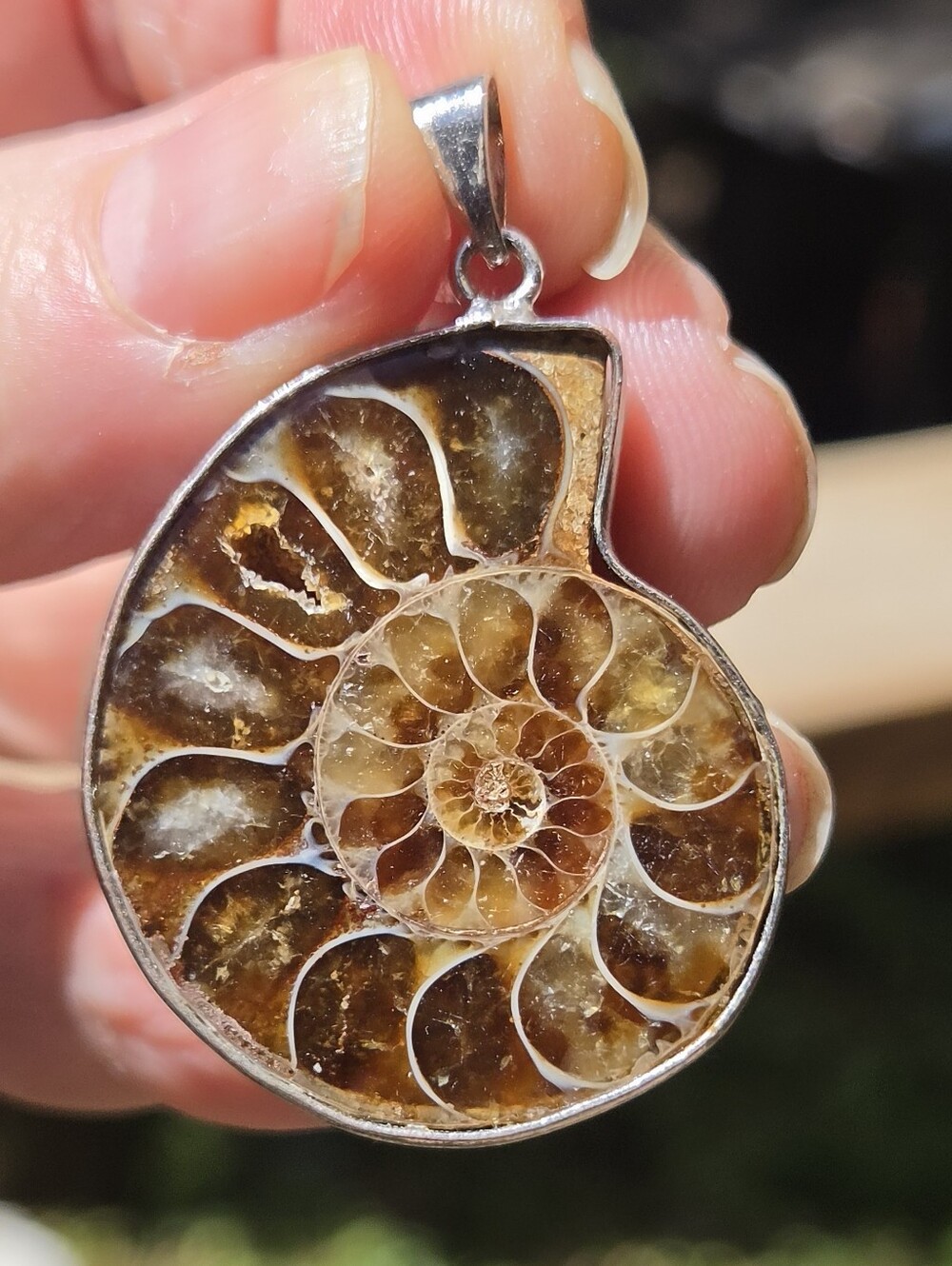 Opalized Ammonite Fossil Sterling Silver Pendant - Picture 3 of 8